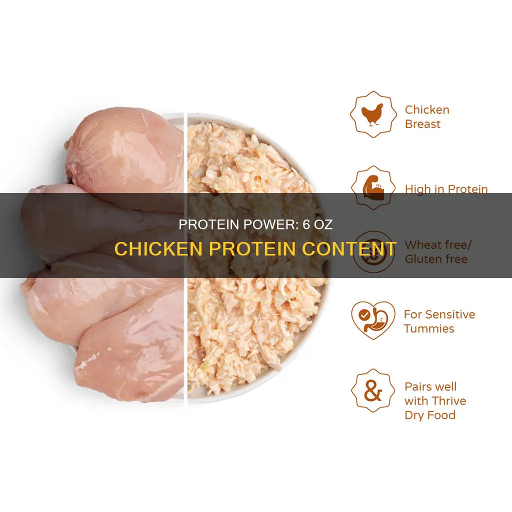 how many g of protein in 6 oz chicken