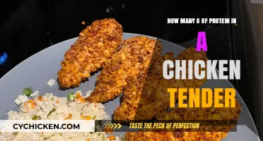 Protein-rich Chicken Tenders: How Many Grams?