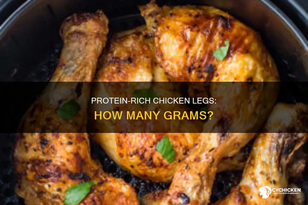 how many g of protein in chicken leg