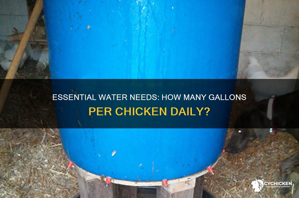 how many gallons of water per chicken