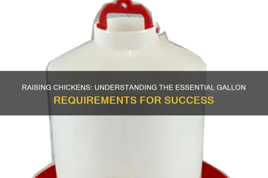 how many gallons to raise a chicken