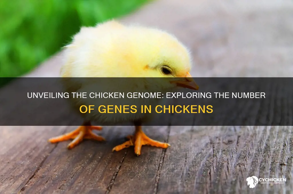 how many genes does a chicken have
