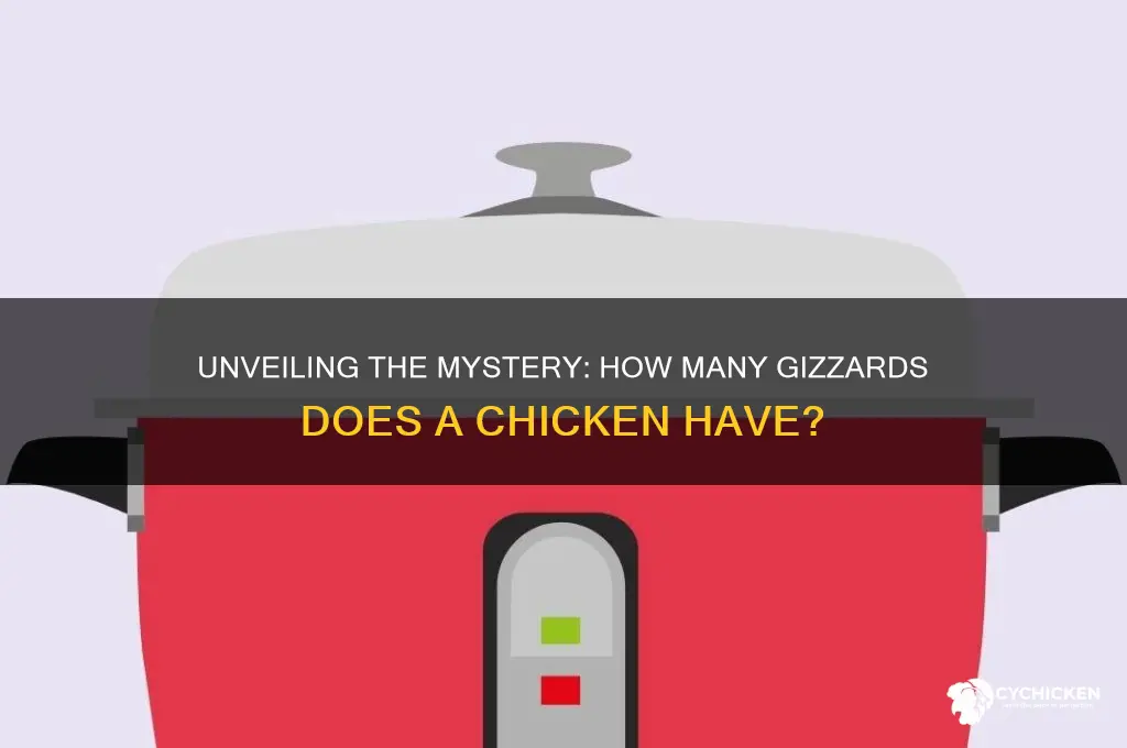 how many gizzards are in a chicken