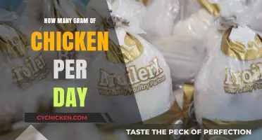 Daily Chicken Intake: How Many Grams Should You Consume?