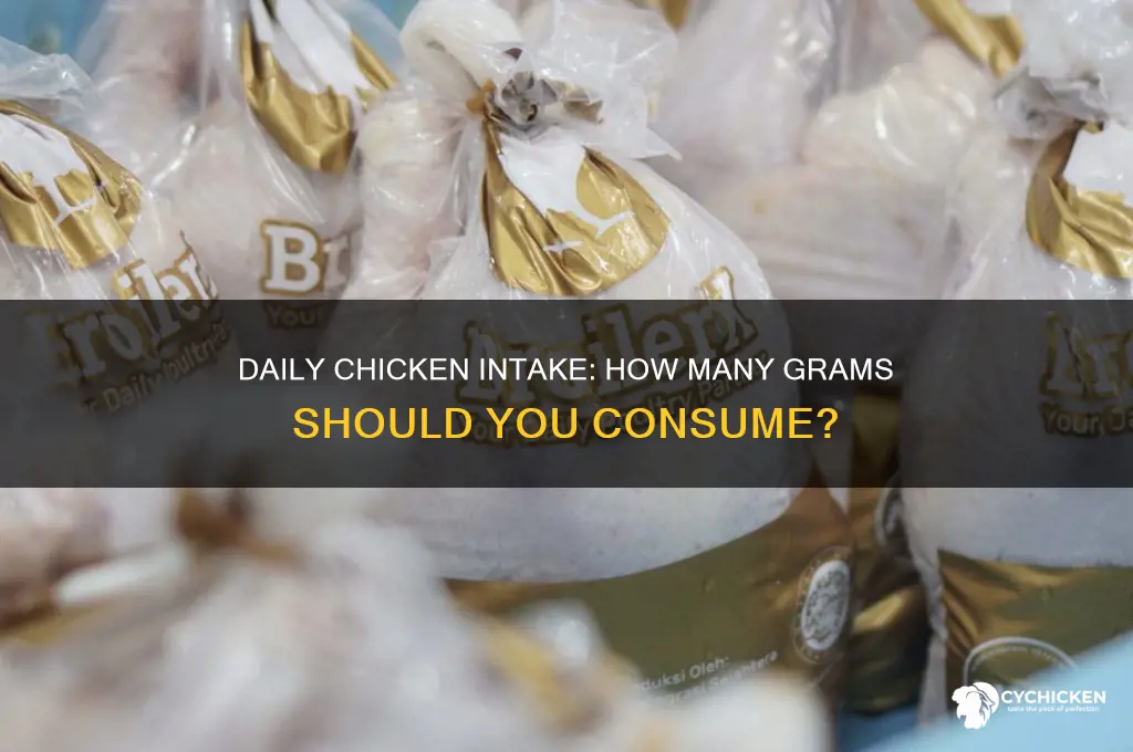 how many gram of chicken per day