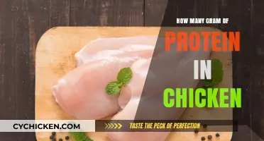 Protein Power: How Much Chicken Do You Need for Daily Goals?