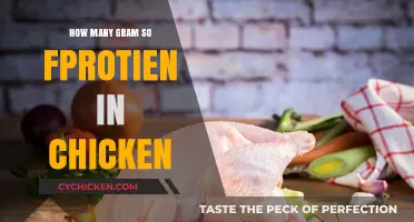 Protein Power: How Many Grams of Protein Are in Chicken?