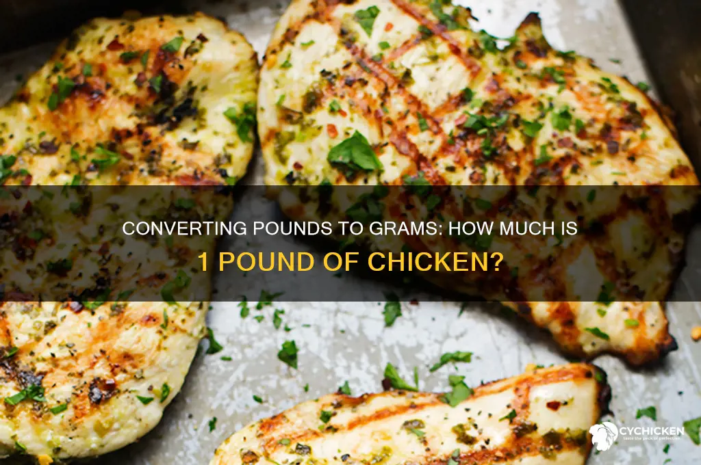 how many grams 1 pound of chicken