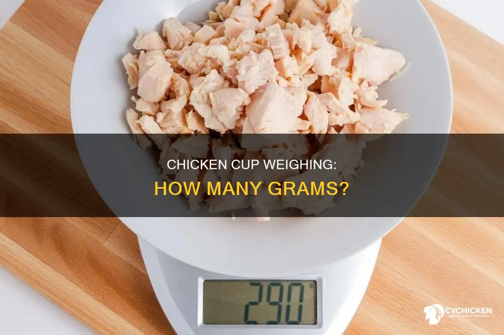 how many grams are in 1 cup of chicken