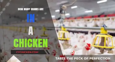 Understanding Chicken Weight: How Many Grams Are in a Chicken?