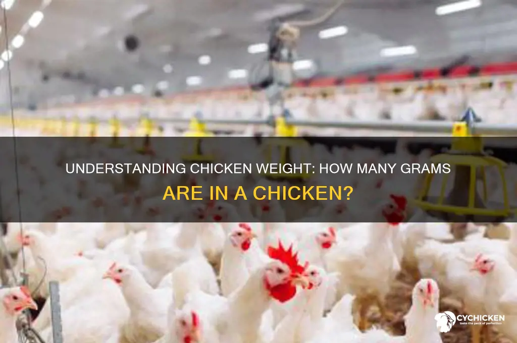 how many grams are in a chicken