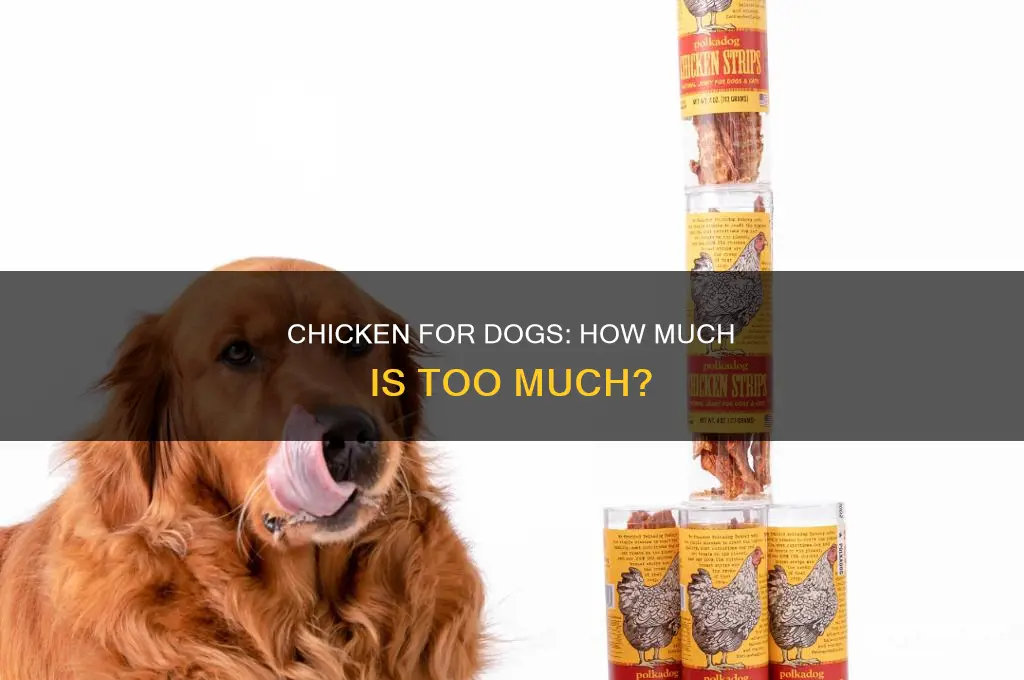 how many grams chicken per day for dog