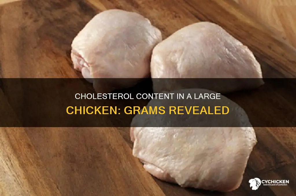 how many grams cholesterol in big chicken