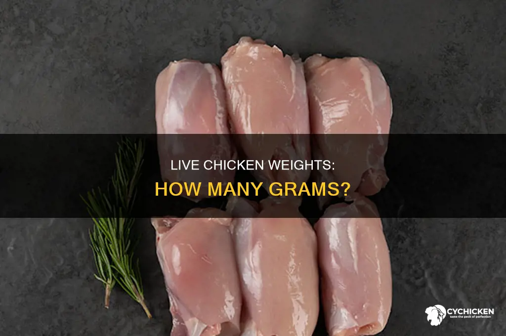 how many grams does a live chicken weigh