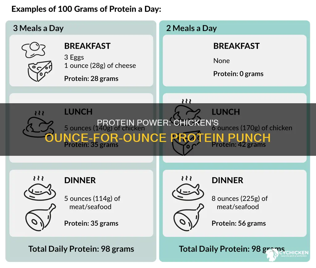 how many grams if protein in an oz of chicken