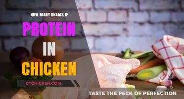 Protein Power: How Many Grams of Protein in Chicken?