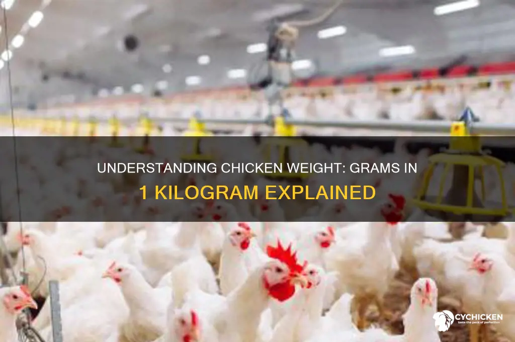 how many grams in 1 kg chicken