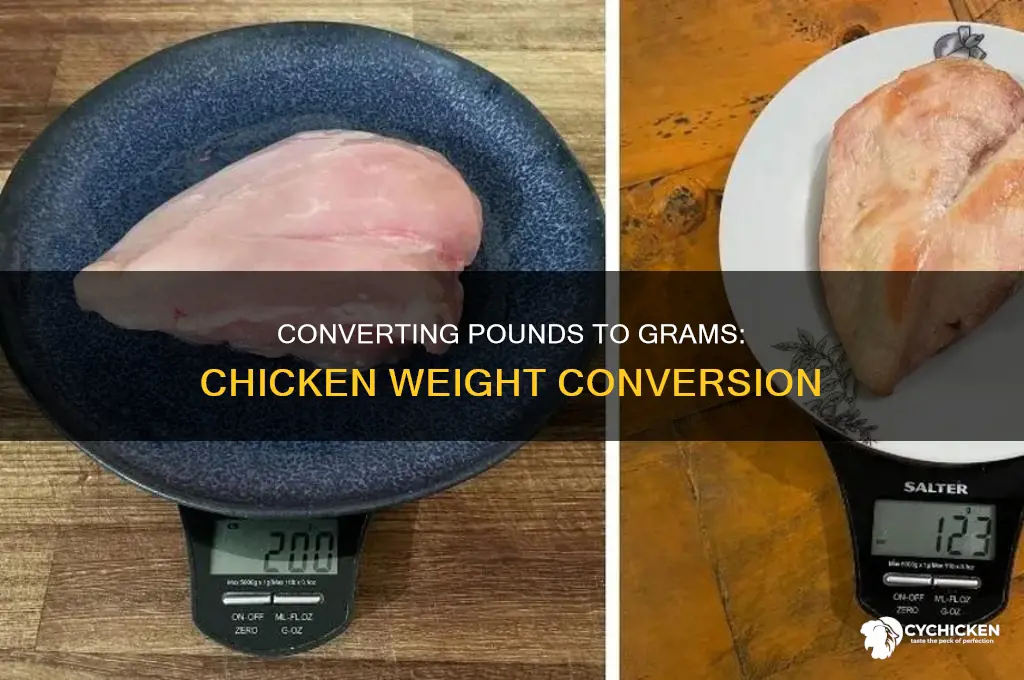 how many grams in 2 lb of chicken