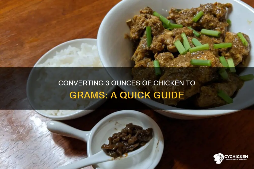 how many grams in 3 ounces of chicken