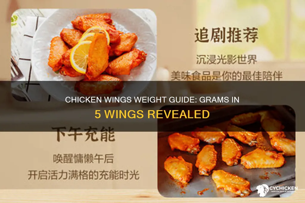 how many grams in 5 chicken winds