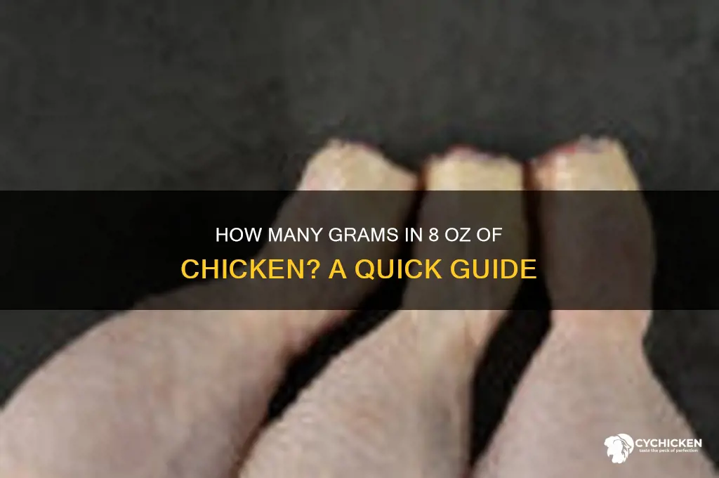 how many grams in 8 oz chicken