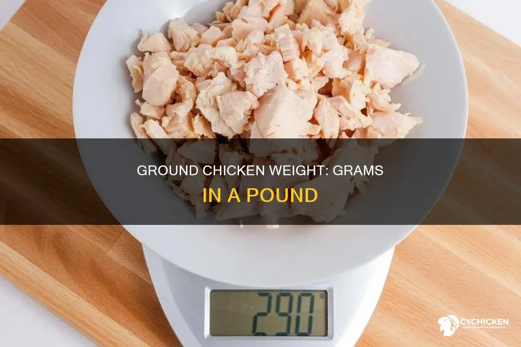 how many grams in a pound of ground chicken