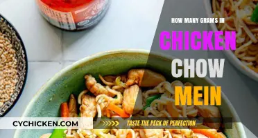 Chicken Chow Mein Serving Size: Grams Per Plate Explained