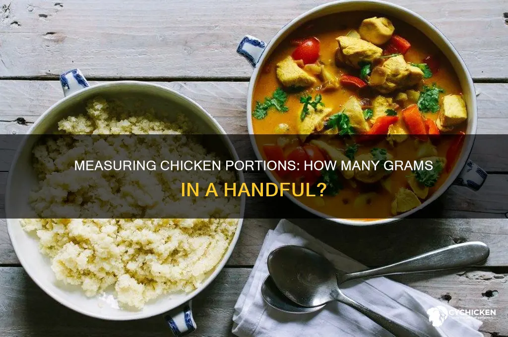 how many grams in handful of chicken