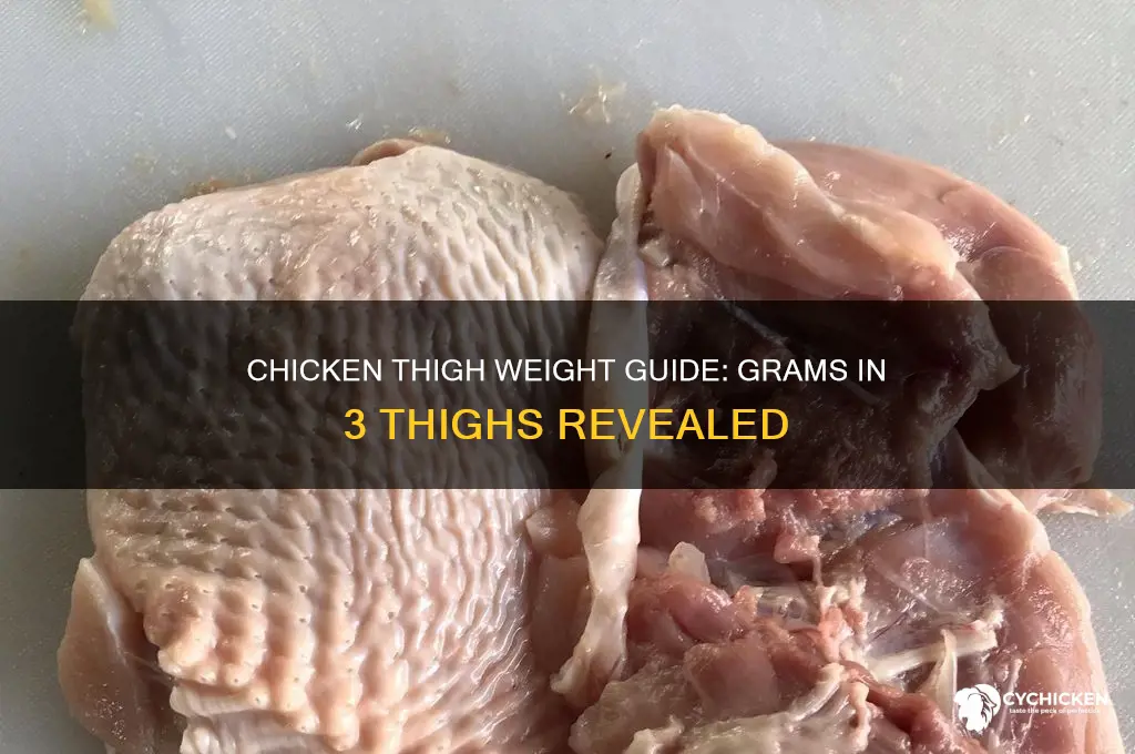 how many grams is 3 chicken thighs