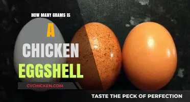 Unveiling the Surprising Weight of a Chicken Eggshell: A Detailed Guide