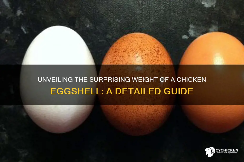 how many grams is a chicken eggshell