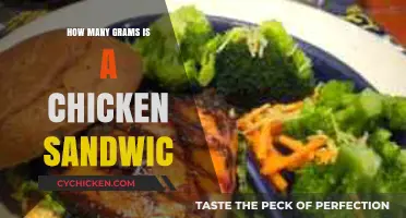Chicken Sandwich Weight: How Many Grams Are You Eating?
