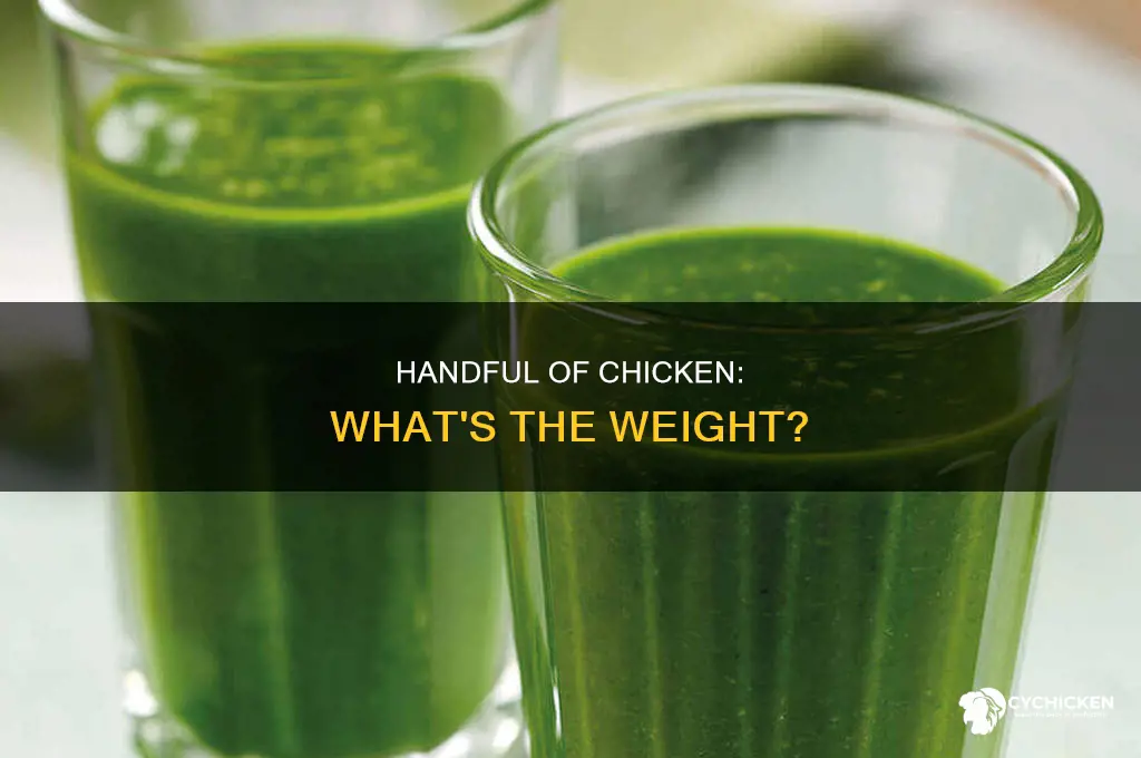 how many grams is a handful of chicken