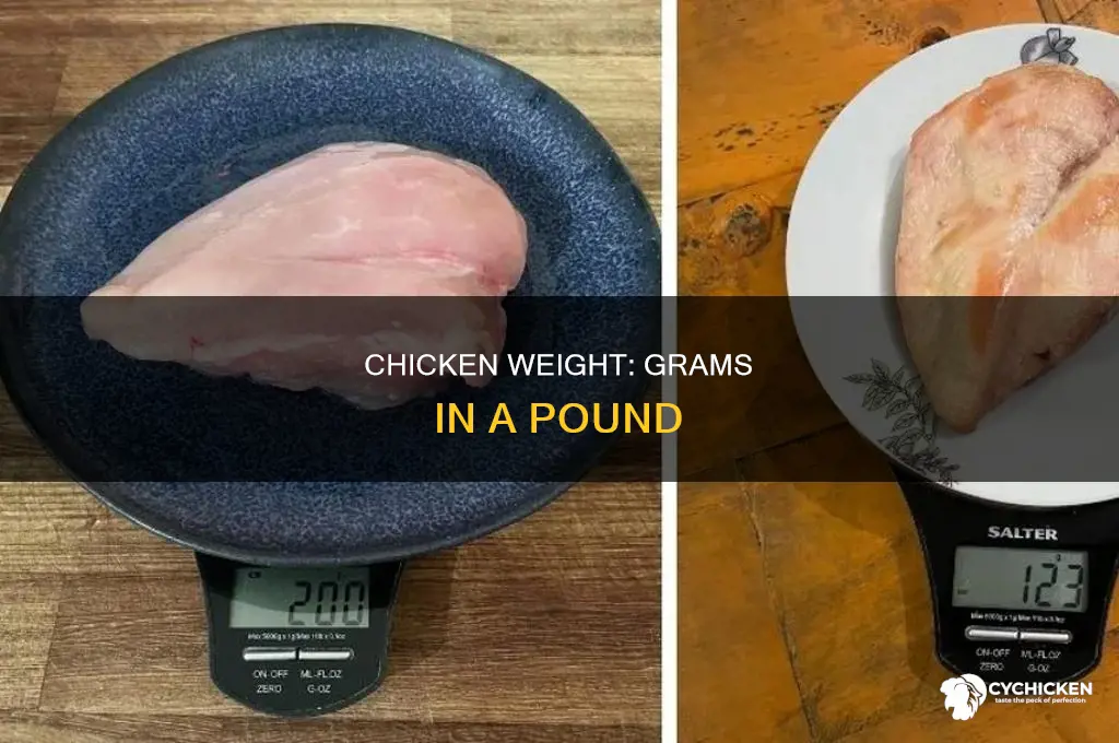 how many grams is a poudn of chicken