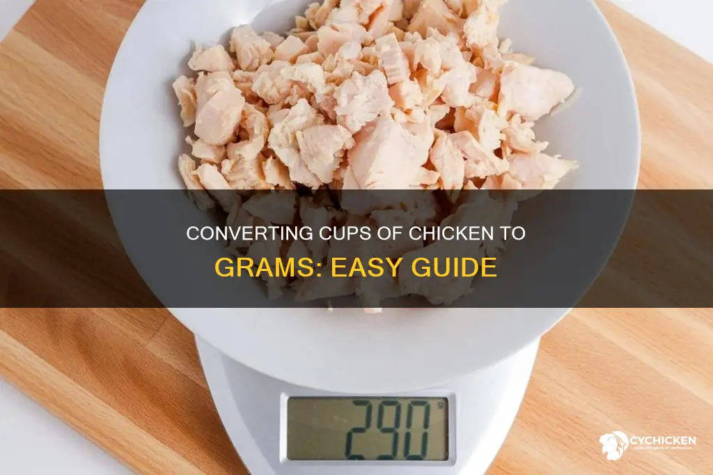 how many grams of chicken are in 3 cups