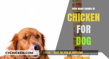 Safe Chicken Serving Sizes for Dogs: Grams and Guidelines