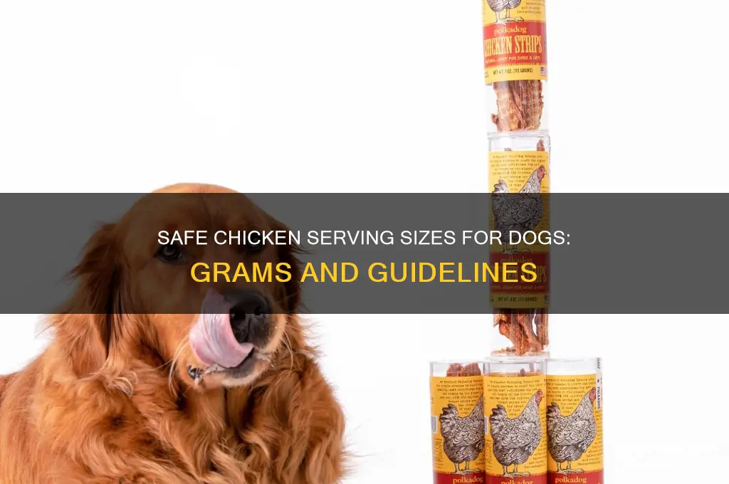 how many grams of chicken for dog