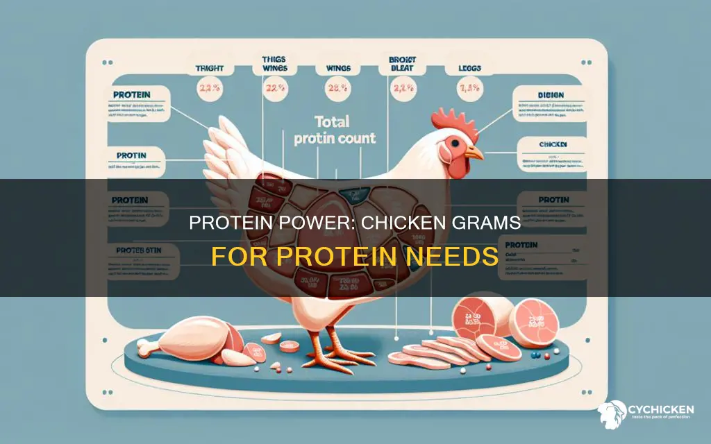 how many grams of chicken for one gram protein
