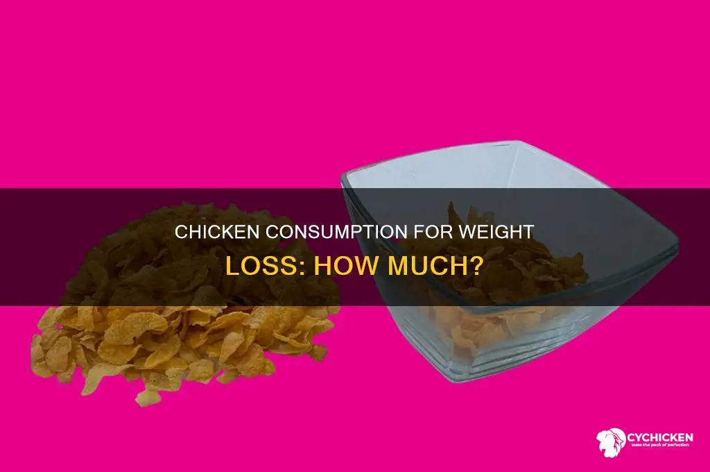 how many grams of chicken for weight loss