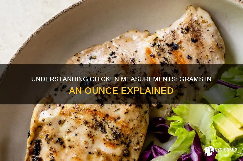 how many grams of chicken in an ounce