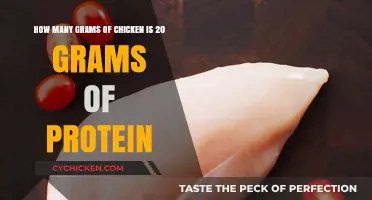 Chicken Protein Content: How Much to Eat?