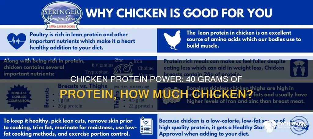 how many grams of chicken is 40 grams of protein