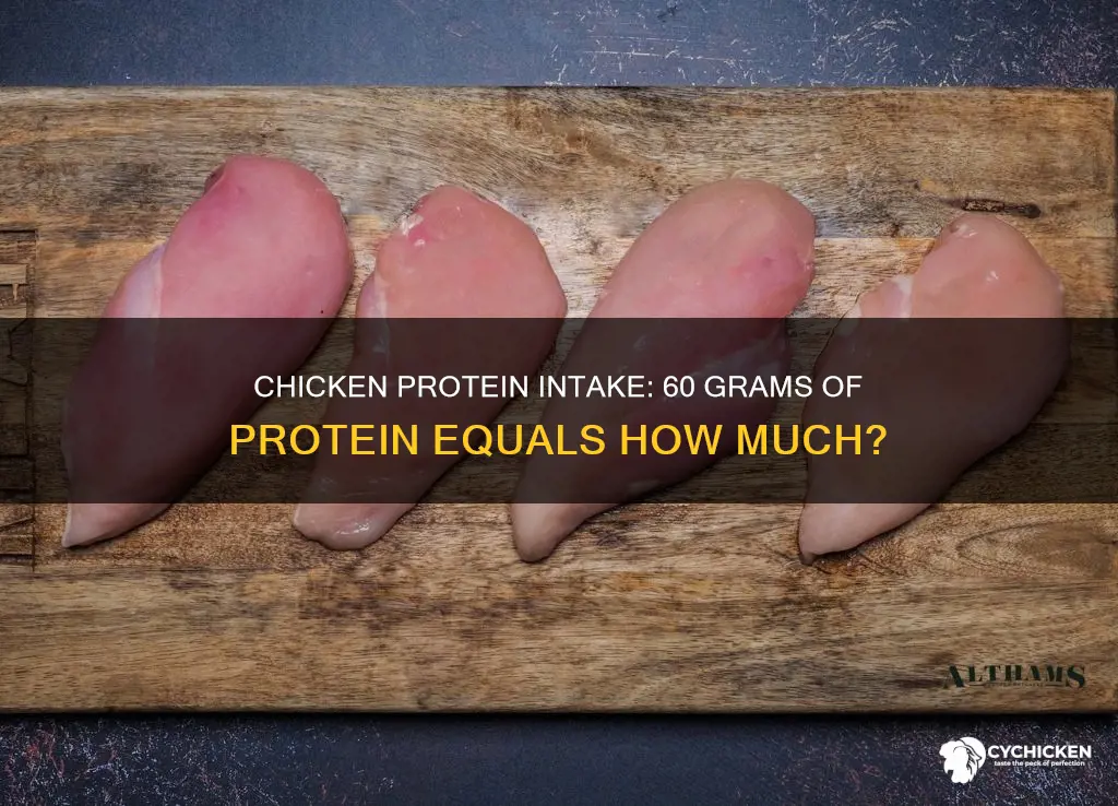 how many grams of chicken is 60 grams of protein