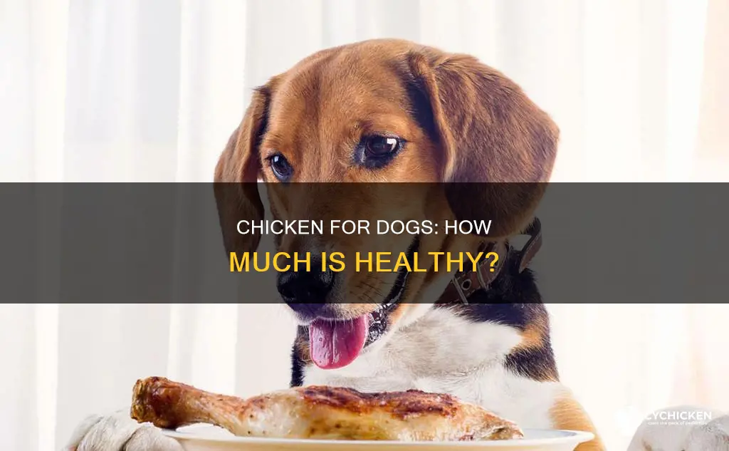 how many grams of chicken per day for dog