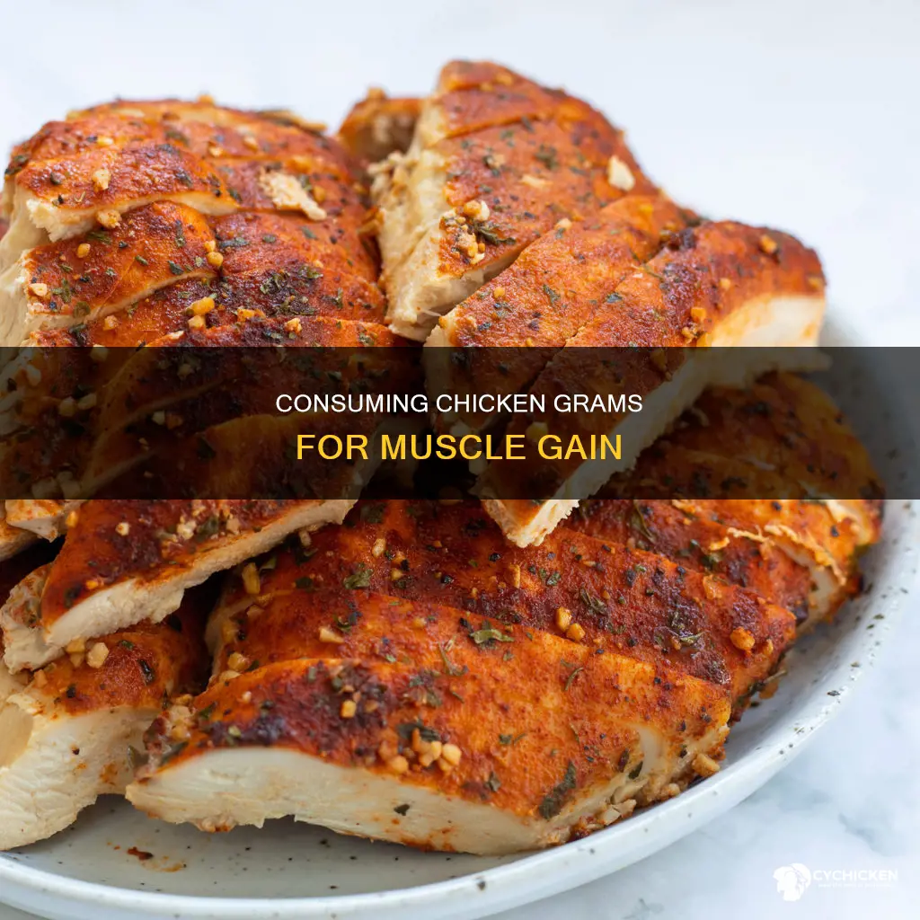 how many grams of chicken per day to build muscle