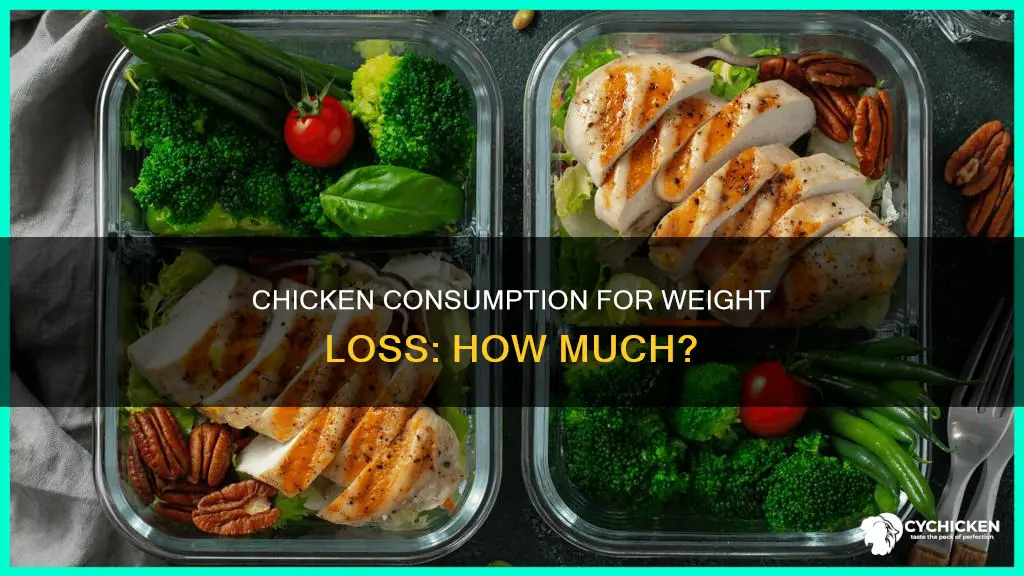 how many grams of chicken per day to lose weight