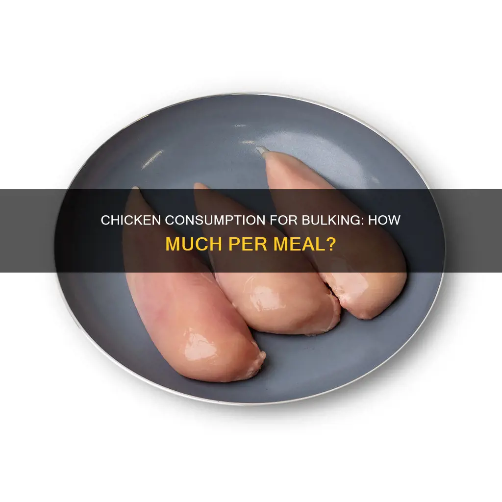 how many grams of chicken per meal when bulking