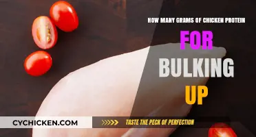 Chicken Protein Intake for Bulking Up