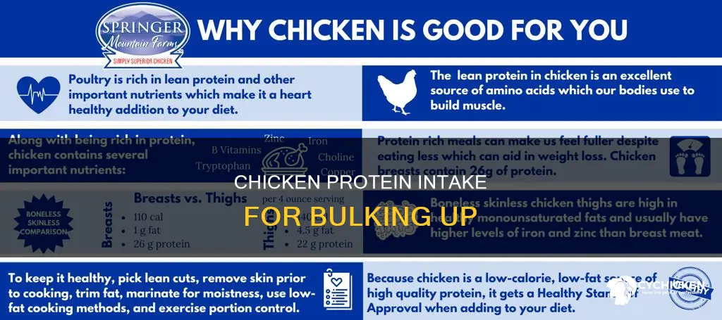 how many grams of chicken protein for bulking up