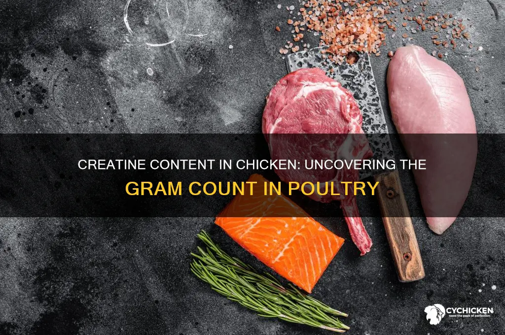 how many grams of creatine in chicken